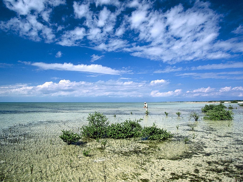 Visibility, Bahamas